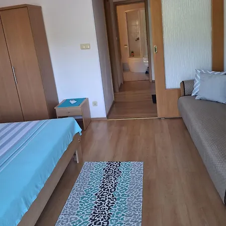 Apartment Monty - Kotor - *